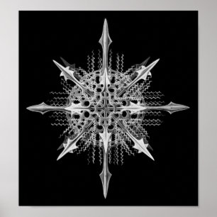 Póster Bello Artes de Ernst Haeckel del miranda de