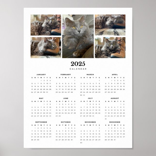 Póster Bello calendario ruso azul Nebelung Cat 2025 (Frente)