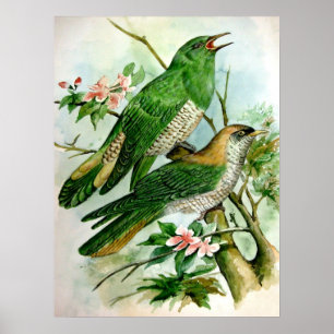 Póster bello cartel vintage pintado 27