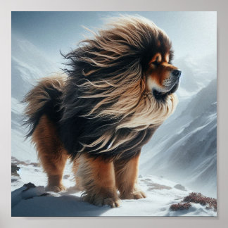 Póster bello Mastiff tibetano