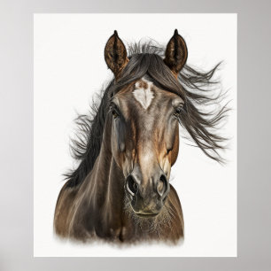 Póster Bello retrato de cabeza de caballo dibujado a mano