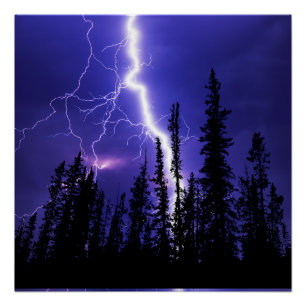 Póster bello trueno sobre el bosque