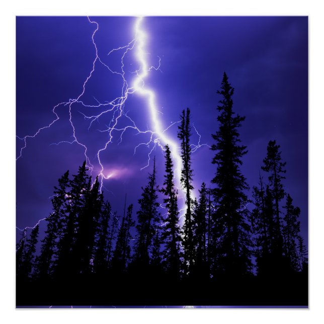 Póster bello trueno sobre el bosque (Anverso)
