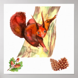 Póster Bellotas Conos de Pino Ardilla Roja Rústica