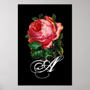 PÓSTER BELO MONOGRAMA DE ROSA ROSADA