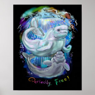 Póster Beluga Whales
