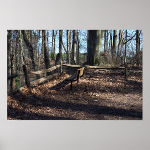 Póster Bench in the Woods Poster
