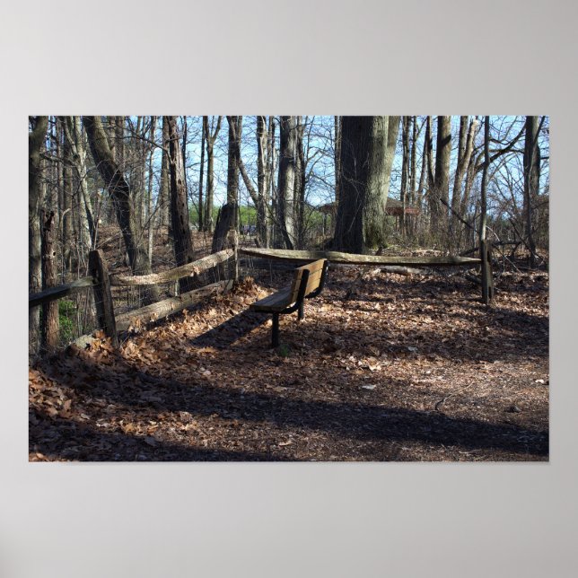 Póster Bench in the Woods Poster (Frente)