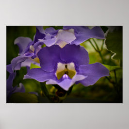 Póster Bendición de la naturaleza