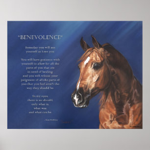 Póster Benevolencia, Kim McElroy 2008