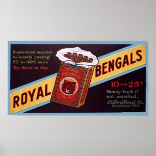 Póster Bengalas reales