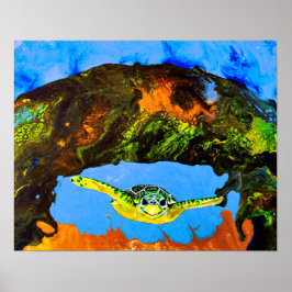 Póster Benny La Tortuga