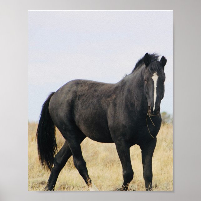 Póster Bentley (Frente)