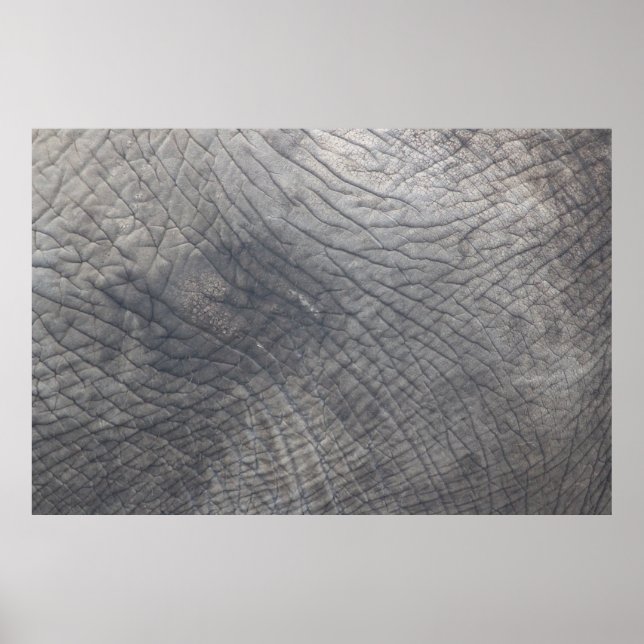 Póster Berlín (Frente)