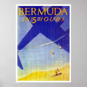 Póster Bermud en 5 horas