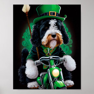 Póster Bernedoodle Dog conduciendo en bicicleta el Día de