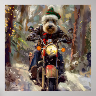 Póster Bernedoodle Perro Montando Motocicleta Navidad