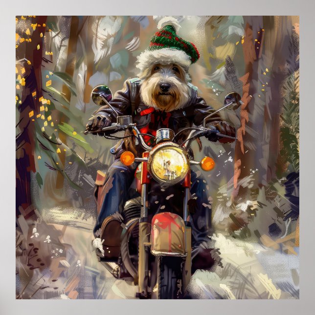 Póster Bernedoodle Perro Montando Motocicleta Navidad  (Frente)