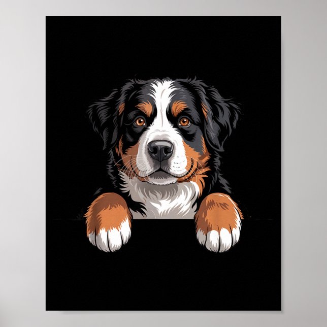 Póster Bernese Mountain Dog Funny Peeking Cket Berner Pup (Frente)