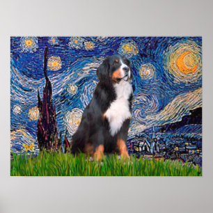 Póster Bernese - Starry Night