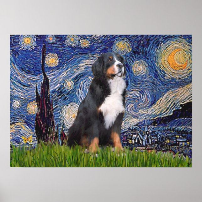 Póster Bernese - Starry Night (Frente)