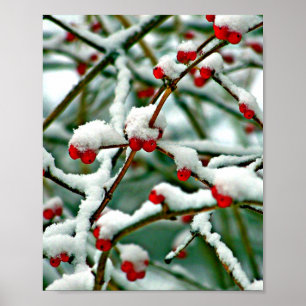 Póster Berries rojos en la nieve