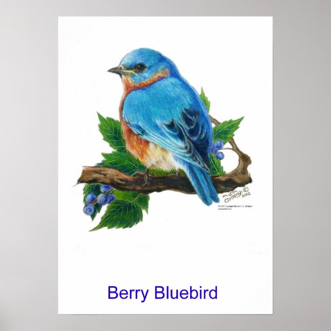 Póster Berry Bluebird (Frente)
