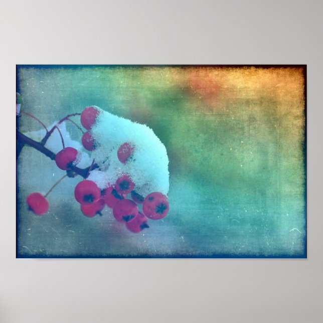 Póster Berry Cold (Frente)