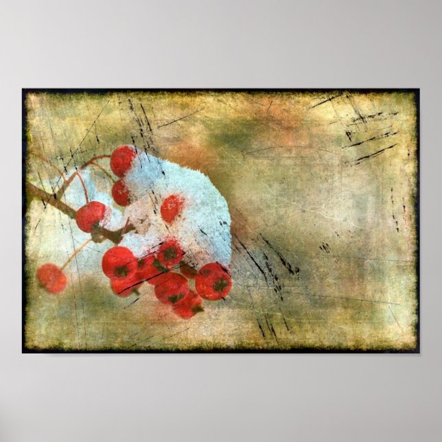 Póster Berry Cold Grunge (Frente)