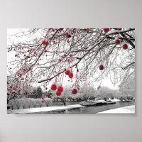 Berry de invierno de K&K