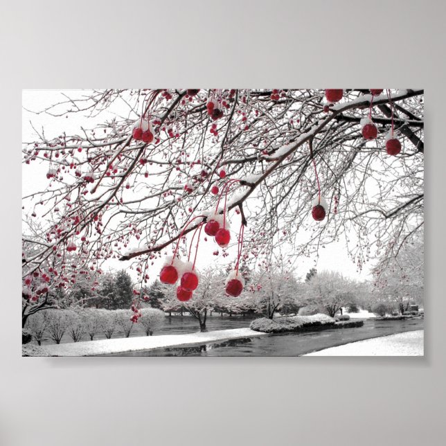 Póster Berry de invierno de K&K (Frente)