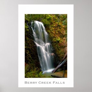 Póster BerryCreek BeautiFall