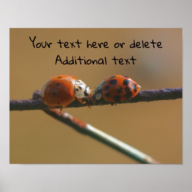 Póster Besando los errores de los Ladybugs Personalizados (Frente)