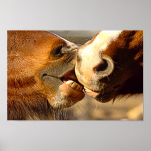 Póster Besar caballos
