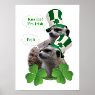 Póster Béseme que soy un diseño irlandés del meerkat