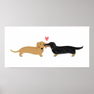 Póster Beso de Dachshund con Corazón