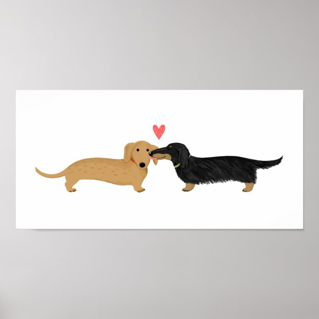 Póster Beso de Dachshund con Corazón (Frente)