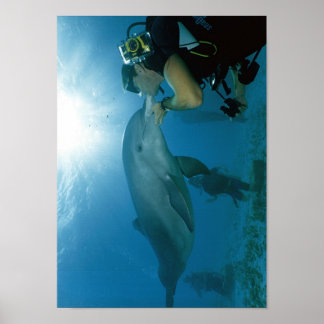 Póster Beso de delfines