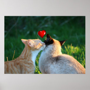 Póster beso kitty