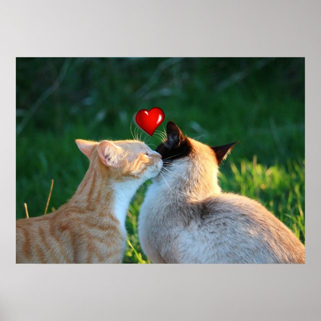 Póster beso kitty (Frente)