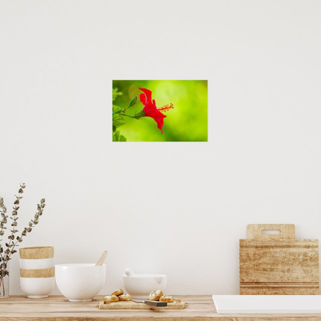 Póster 🌺 Beso Tropical Rojo 💋 (Cocina)