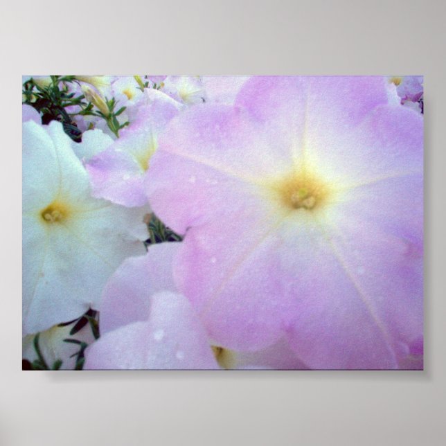 Póster Besos de la mañana (Frente)