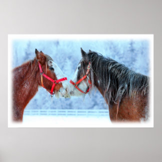 Póster Best Friends