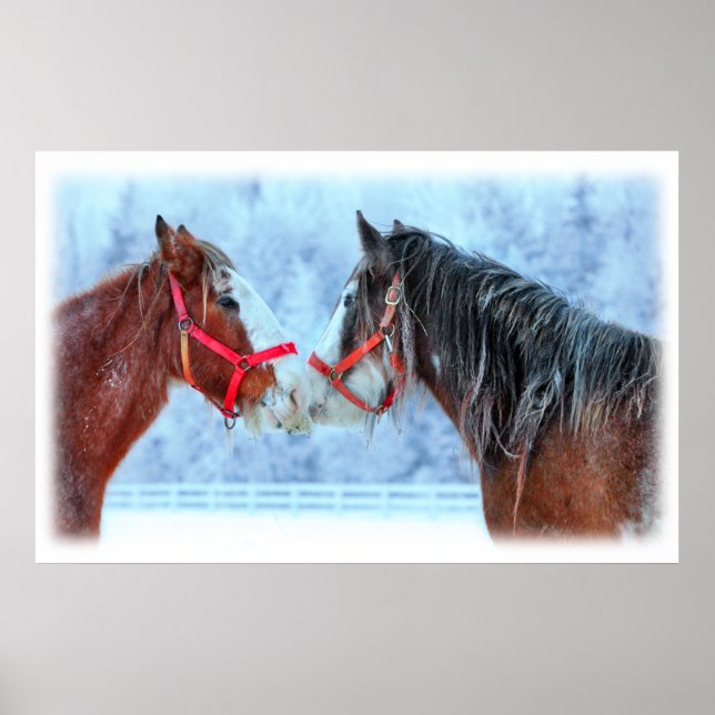 Póster Best Friends (Frente)