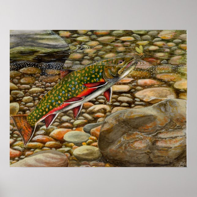 Póster Best of Show 2004 (Frente)