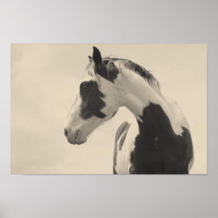 Póster Bestia Nobel