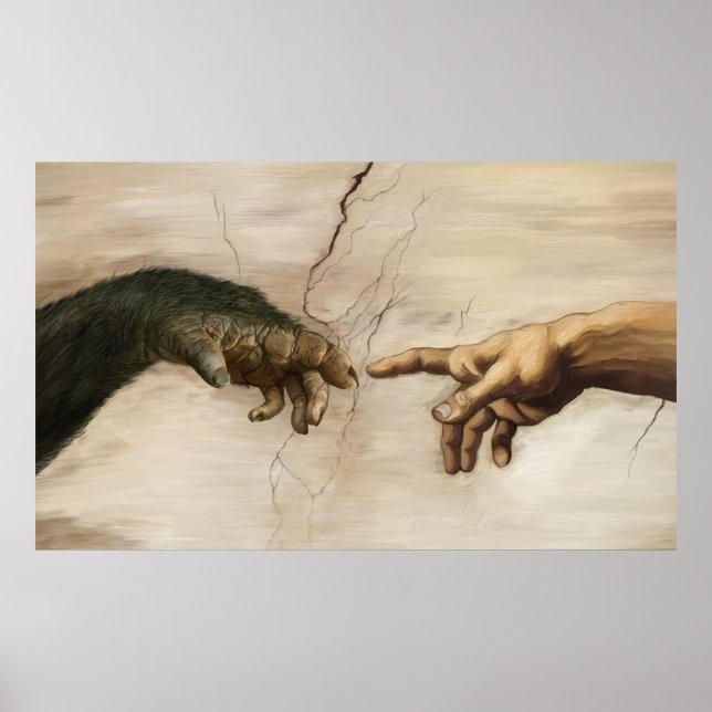 Póster Bestias nobles - Creación de la humanidad (Frente)