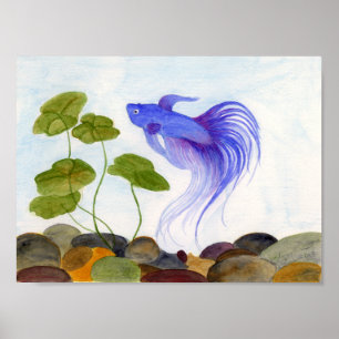 Póster Betta azul