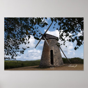 Póster Bettys Hope en Antigua