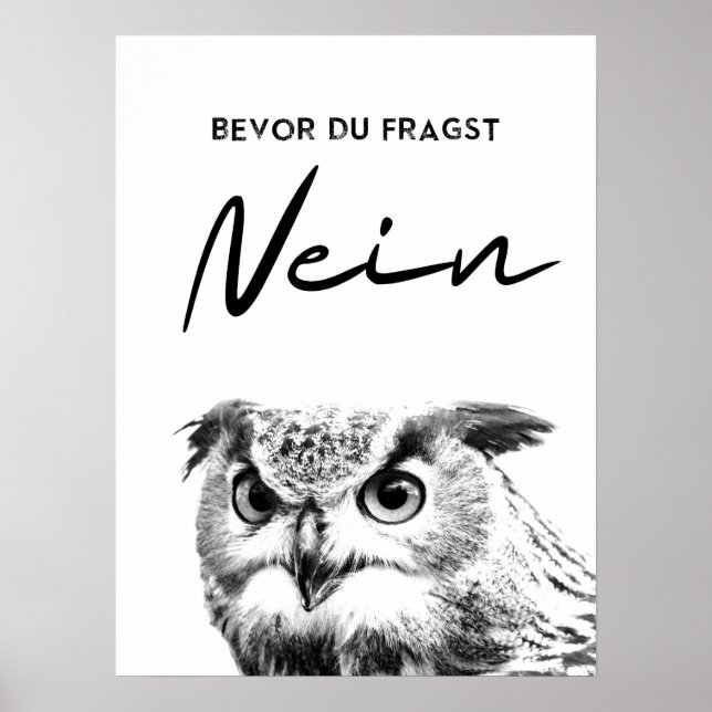 Póster Bevor Du fragst Nein. Lustiges Eulen Poster (Frente)